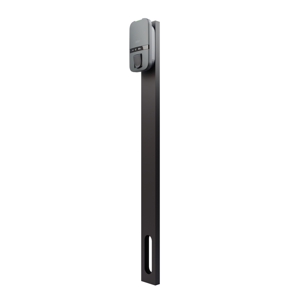 PEBLAR SINGLE POLE GROUND MOUNT