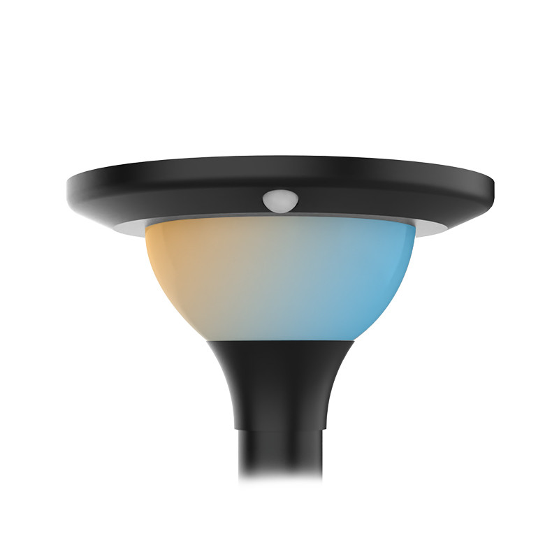 Tête de lampadaire solaire 15W 3CCT(3000K - 4000K - 6000K) IP65 + Détecteur IR