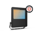 LED SCHIJNWERPER ZWART 70W CCT IP65 LUMOS PRO - 5 JAAR GARANTIE