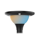 SOLAR STREET LIGHT 15W CCT (3000K - 4000K - 6000K) IP65 + DETECTOR IR