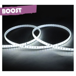 [100734] LED REEL 2835 - 50 METERS - 6000K 8W/M 230V IP65