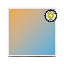 [101108] LED PANEL 595x595 25W WHITE CCT PRISMATIC - 5 YEAR WARRANTY