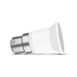 [73990] Adaptateur de culot B22 a E27